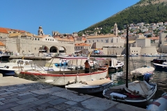 IMG_20250627_095301086